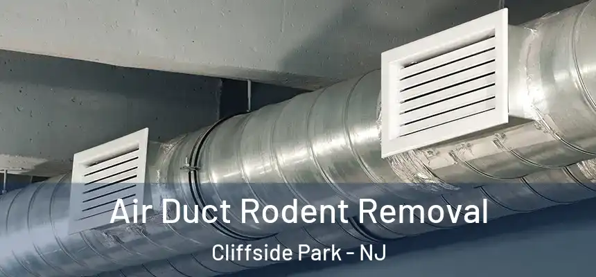 Air Duct Rodent Removal Cliffside Park - NJ