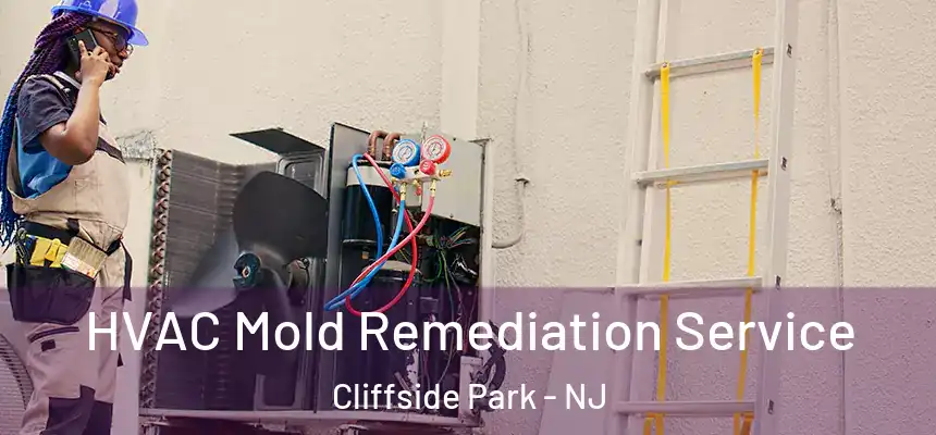 HVAC Mold Remediation Service Cliffside Park - NJ