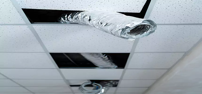 Affordable HVAC Sanitizing After Pest Removal in Cliffside Park