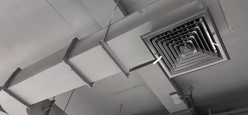 Restorative Allergy Relief Vent Cleaning – Coil, Blower & Housing Detail in Cliffside Park