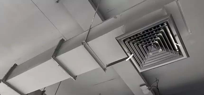 Our Rodent Droppings In Vents Services in Cliffside Park, NJ