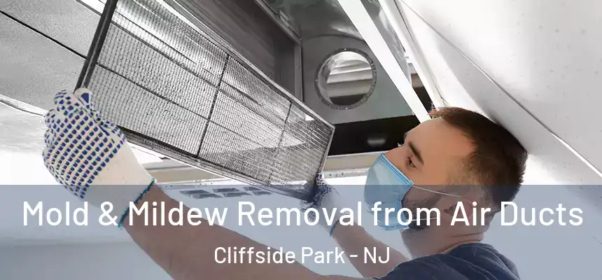 Mold & Mildew Removal from Air Ducts Cliffside Park - NJ