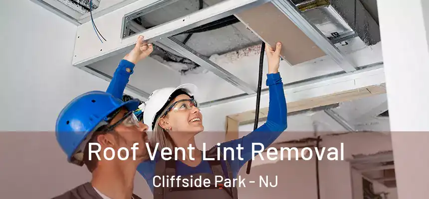 Roof Vent Lint Removal Cliffside Park - NJ