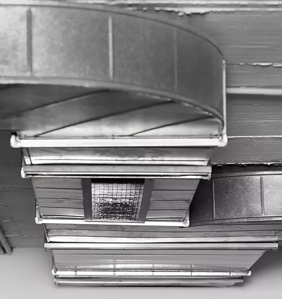 Professional Air Duct Pest Removal in Cliffside Park, NJ