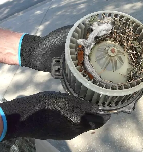 About Air Duct Rat Removal in Cliffside Park, NJ