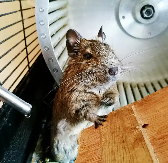 Why Homeowners & Businesses Trust Us Cliffside Park, NJ